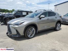 Lexus NX 2025 2