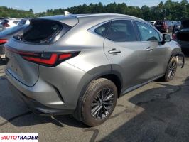 Lexus NX 2022 2