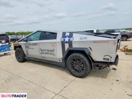 Tesla Pozostałe 2024