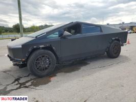 Tesla Pozostałe 2024