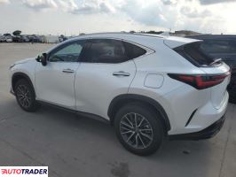 Lexus NX 2024 2