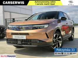 Opel Grandland X 2025 1.2 145 KM Opel Grandland X 2025 1.2 145 KM