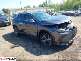 Lexus NX 2025 2