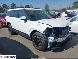 Hyundai Santa Fe 2024 2