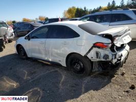 Toyota Corolla 2025 1