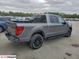 Ford Pozostałe 2024 3