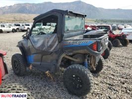 Polaris Pozostałe 2019