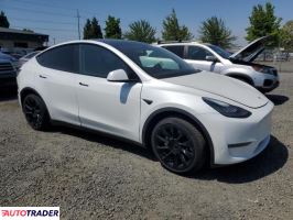 Tesla Model Y 2020