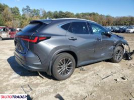Lexus NX 2024 2