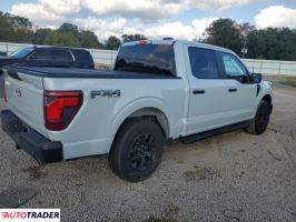 Ford Pozostałe 2024 5