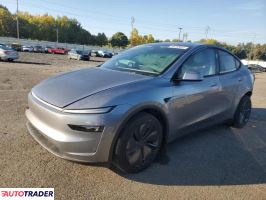 Tesla Model Y - zobacz ofertę