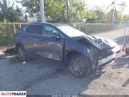 Lexus NX 2024 2