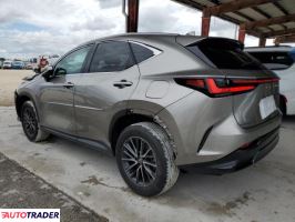 Lexus NX 2025 2 Lexus NX 2025 2