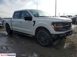 Ford Pozostałe 2024 2