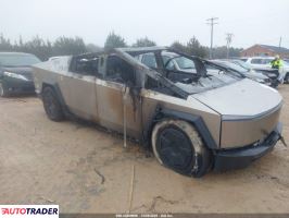 Tesla Pozostałe 2024