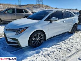 Toyota Corolla 2025 1