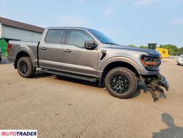 Ford Pozostałe 2024 2
