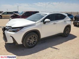 Lexus NX 2022 2 Lexus NX 2022 2