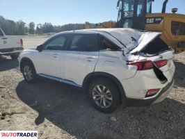 Hyundai Santa Fe 2019 2