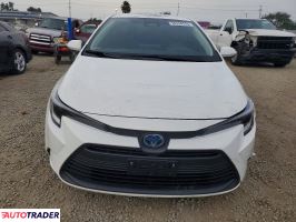 Toyota Corolla 2025 1
