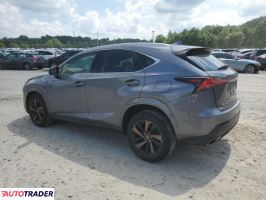 Lexus NX 2020 2