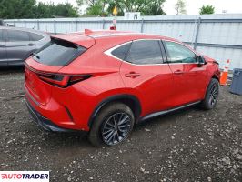 Lexus NX 2024 2