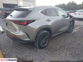 Lexus NX 2024 2