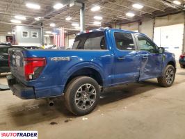 Ford Pozostałe 2024 2