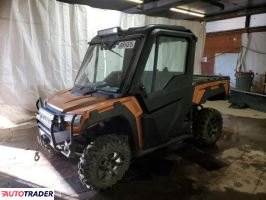 Arctic Cat Pozostałe 2021