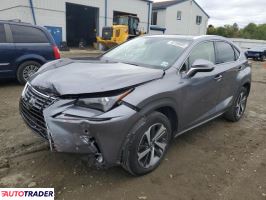 Lexus NX 2021 2