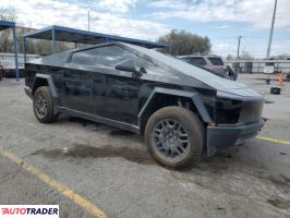Tesla Pozostałe 2024 Tesla Pozostałe 2024