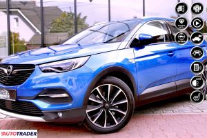 Opel Grandland X - zobacz ofertę