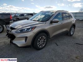 Ford Escape - zobacz ofertę