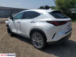 Lexus NX 2025 2 Lexus NX 2025 2