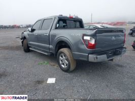 Ford Pozostałe 2024 2