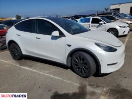 Tesla Model Y 2020