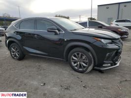 Lexus NX 2019 2