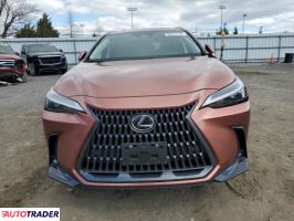 Lexus NX 2025 2 Lexus NX 2025 2