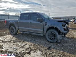 Ford Pozostałe 2024 3