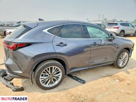 Lexus NX 2025 2