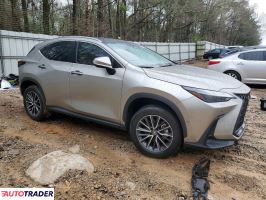 Lexus NX 2024 2