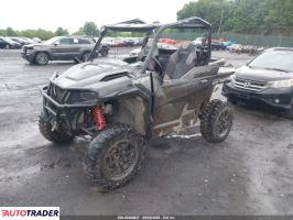 Polaris Pozostałe 2021