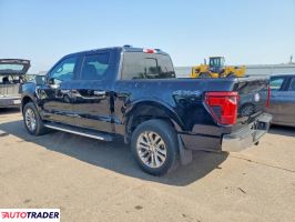 Ford Pozostałe 2024 3