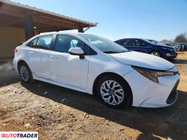 Toyota Corolla 2020 1