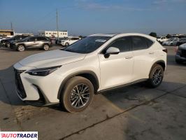 Lexus NX 2024 2