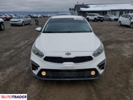 Kia Pozostałe 2019 2 Kia Pozostałe 2019 2