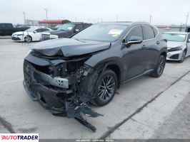 Lexus NX 2022 2