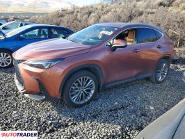 Lexus NX 2025 2