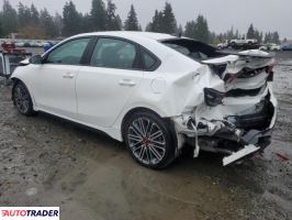 Kia Pozostałe 2024 1