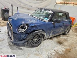 Austin Mini 2025 2